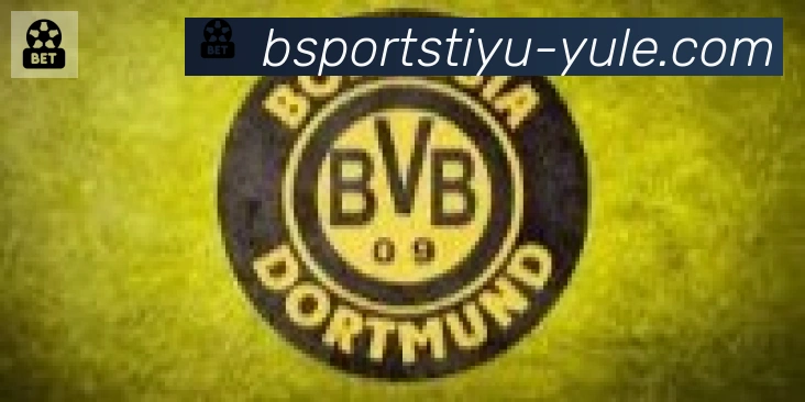 Bsports官网合作伙伴