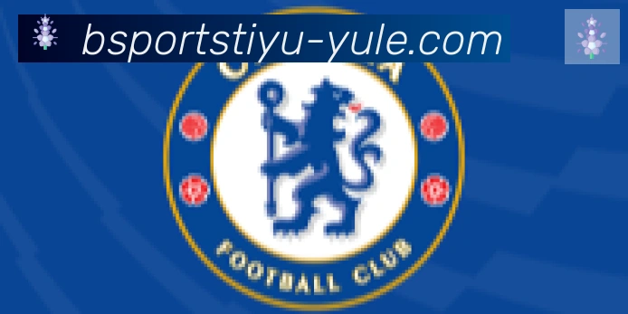 Bsports官网合作伙伴