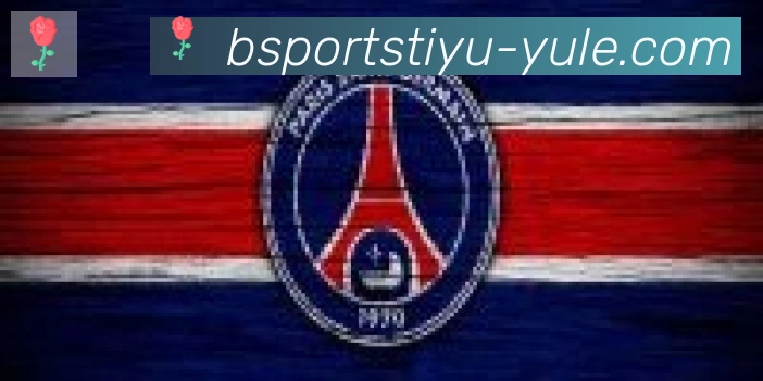 Bsports官网合作伙伴