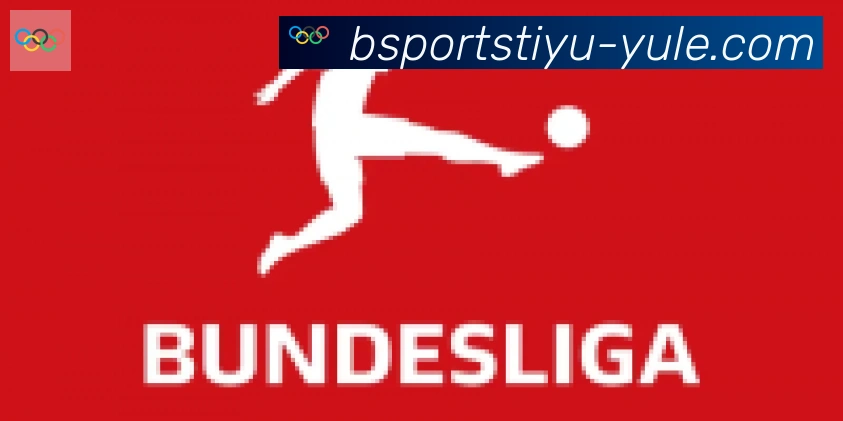 Bsports官网合作伙伴